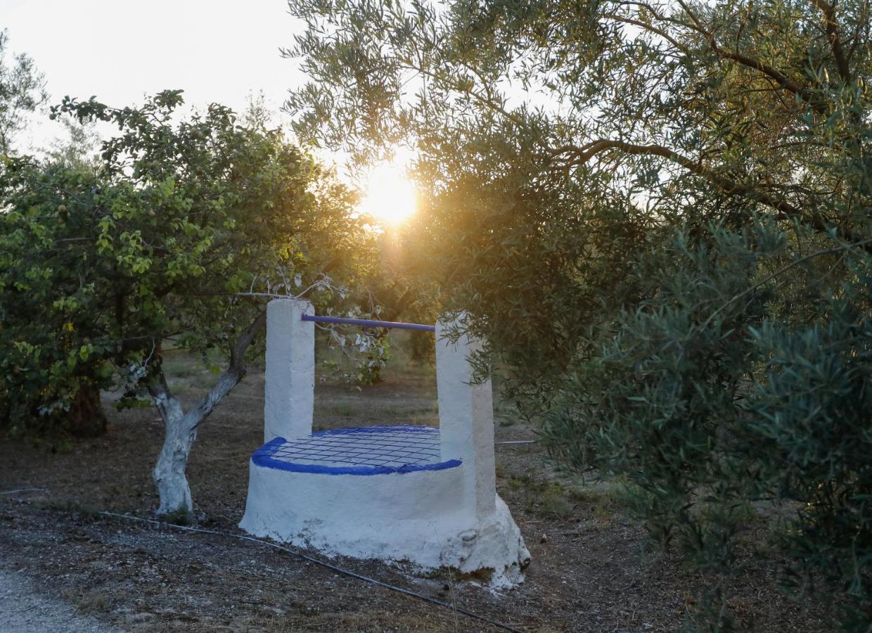 Cortijo Botanico El Cerro Villa Cabra Buitenkant foto